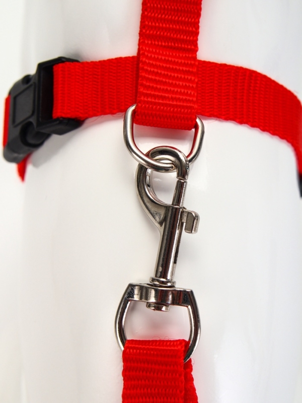 Комплект для кошек, ширина 1,5 см, ОШ 16,5-27 см, ОГ 21-35 см, поводок 120 см, красный