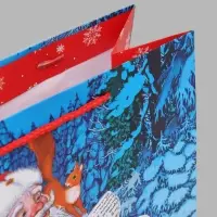 Пакет подарочный &laquo;Письмо Деду Морозу&raquo;, 26&times;12&times;32 см