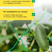 Сетка садовая для огурцов, шпалерная, 10&times;2 м, ячейка 15&times;15 см, Greengo