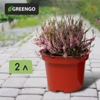 Горшок для рассады, 2 л, d = 17 см, h = 13 см, терракот, Greengo Горшок для рассады, 2 л, d = 17 см, h = 13 см, терракот, Greengo