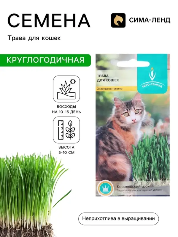 Семена Трава для кошек, 10 г, &laquo;Евро-семена&raquo;