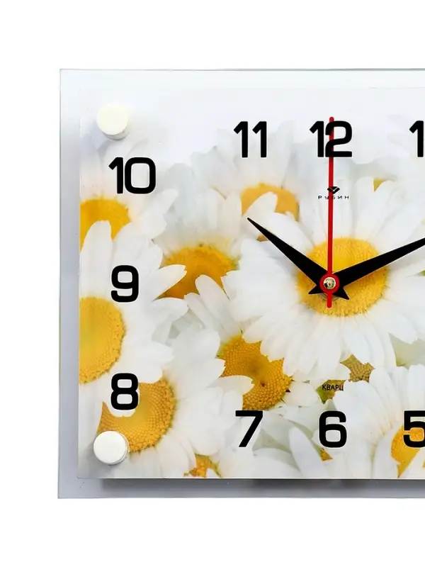 Часы настенные: Цветы, &laquo;Ромашки&raquo;, бесшумные, 20&times;26 см