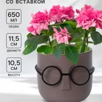 Кашпо для цветов со вставкой &laquo;Стив&raquo;, 650 мл, d=11.5 см, h=10.5 см, цвет французский серый