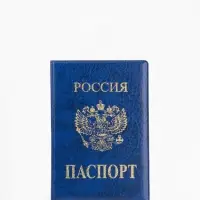 Обложка для паспорта, искусственная кожа, тиснение, синяя