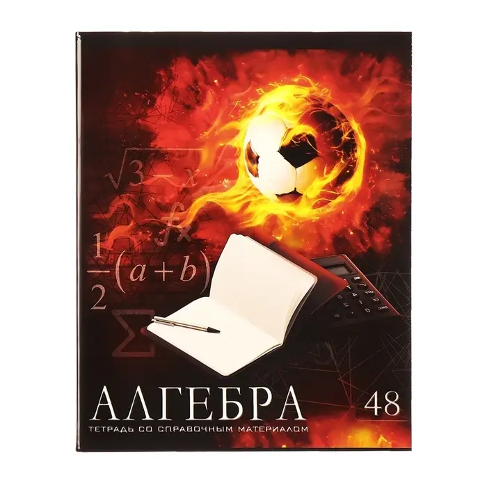 Набор предметных тетрадей Calligrata &laquo;Футбол&raquo;, 10 предметов, 48 листов, со справочным материалом, обложка из мелованного картона, блок офсет