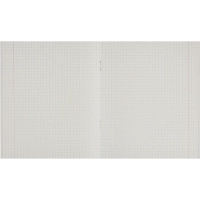 Тетрадь общая А5,48л,кл,скоб,офсет-2 Ice фиолет/красная