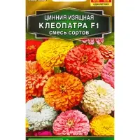 Семена цветов Цинния Клеопатра F1, смесь сортов Золотая серия, Ц/П,12 шт. Семена цветов Цинния Клеопатра F1, смесь сортов Золотая серия, Ц/П,12 шт.