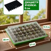 Мини-парник для рассады, 57&times;36&times;13.5 см, 1 вставка, 40 ячеек, Greengo