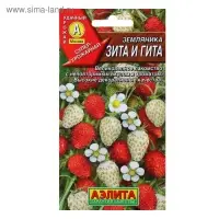 Семена Земляника "Зита и Гита", смесь, 0,04 г Семена Земляника "Зита и Гита", смесь, 0,04 г