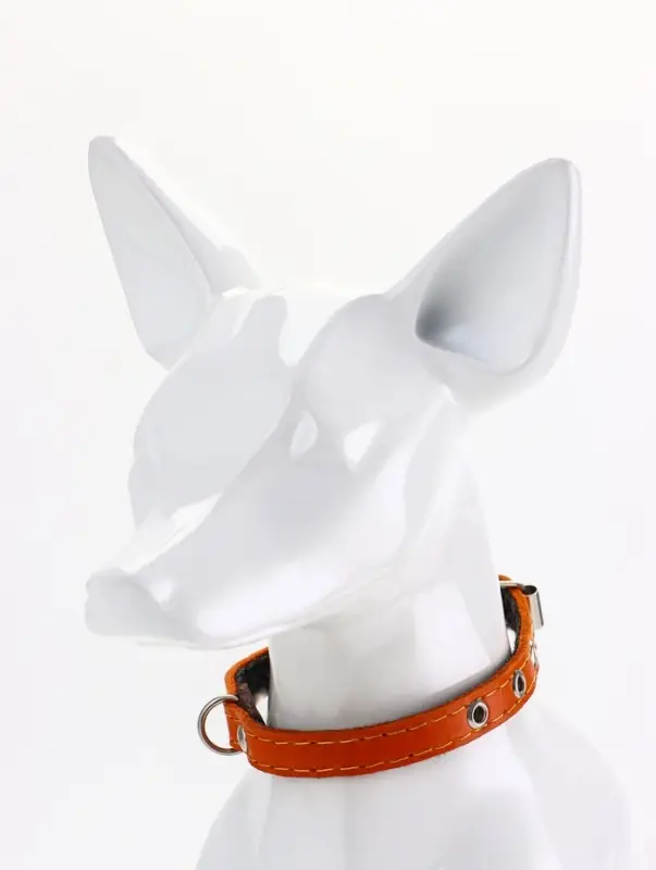 Ошейник кожаный однослойный  на  фетре неукрашенный, 1,2 см, ОШ 20-26 см,