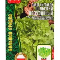 Семена Салат Польский Всесезонный листовой  1000 шт.  12.29 г.