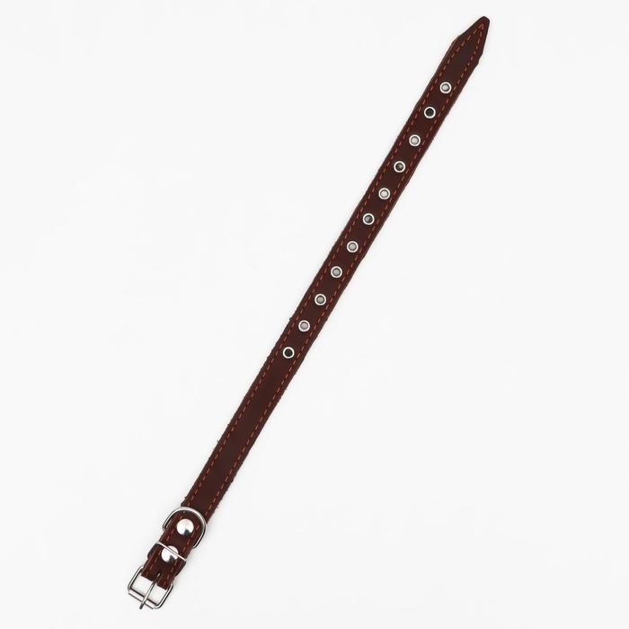 Ошейник комбинированный кожа/брезент, безразмерный, 54 х 2.5 см, ОШ 17-45 см, коричневый Ошейник комбинированный кожа/брезент, безразмерный, 54 х 2.5 см, ОШ 17-45 см, коричневый