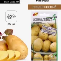 Семена Картофель &laquo;Ривьера&raquo;, 25 шт., &laquo;Дом семян&raquo;