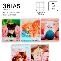 Тетради 5 штук, 36 листов в клетку Calligrata &laquo;Котята&raquo;, обложка мелованный картон, блок офсет