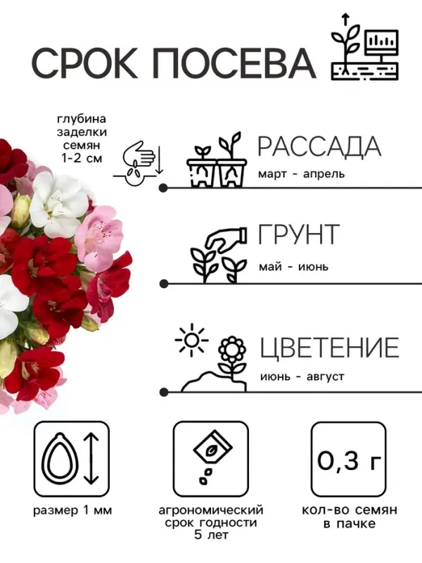 Семена цветов Годеция &laquo;Летний шарм&raquo;, смесь сортов, 0.01 г, &laquo;Рецепты дедушки Никиты&raquo;