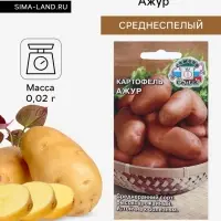 Семена картофель &laquo;Ажур&raquo;, 0.02 г