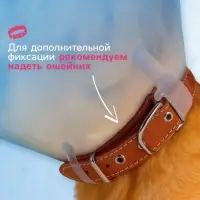 Ветеринарный воротник с креплением на ошейник, ОШ 14-34 см, высота 20 см, без ошейника