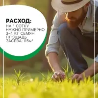 Газонная травосмесь &laquo;Гринкипер&raquo; &laquo;Северная&raquo;, 5 кг