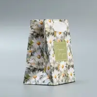 Пакет подарочный ламинированный, упаковка, Present, 9&times;12&times;6.5 см