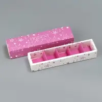 Коробка для конфет, кондитерская упаковка, 5 ячеек, «Present», 5 х 21 х 3.3 см