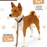Ринговка для собак, 130&times;0.8 см, коричневая