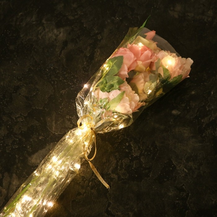 Пленка для цветов с LED- лентой, 60х60 см Пленка для цветов с LED- лентой, 60х60 см