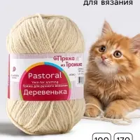 Пряжа для вязания спицами, крючком &laquo;Деревенька&raquo;, 100% шерсть, 170 м/100 г