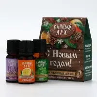 Эфирное масло «С новым годом», 3 шт х 10 мл, Банный Дух Эфирное масло «С новым годом», 3 шт х 10 мл, Банный Дух