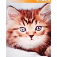 Набор блокнотов А6 40л кл на скобе Котята и щенята, мел карт, 4В 20шт
