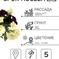 Семена цветов Петуния гибридная &laquo;Софистика Блекберри энд лайм грин&raquo; 5 шт.