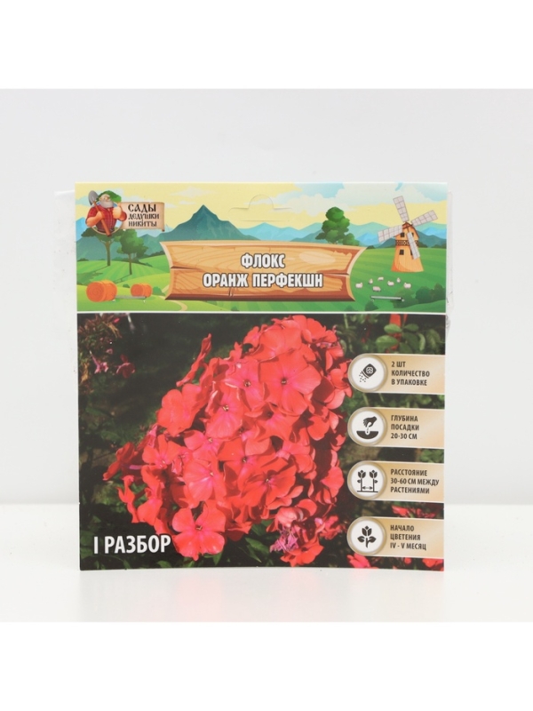 Флокс «Оранж Перфекшн» метельчатый, корневище в пакете с торфогрунтом, р-р I, 2 шт.