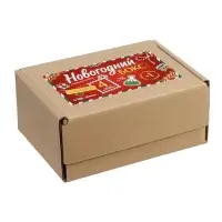 Набор для опытов «Новогодний бокс», 4 набора для опытов, 1 сюрприз