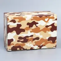 Коробка подарочная сборная, упаковка, «Милитари», 22 х 15 х 10 см