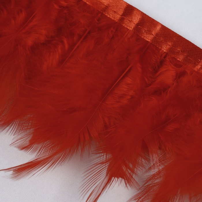 Тесьма с перьями петуха, 10-15 см, 5 ± 0,5 м, цвет красный Тесьма с перьями петуха, 10-15 см, 5 ± 0,5 м, цвет красный