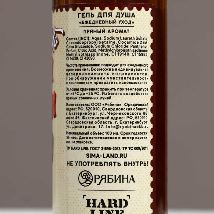 Гель для душа «С Новым Годом, бро!», 100 мл, аромат пряный, ЧИСТОЕ СЧАСТЬЕ Гель для душа «С Новым Годом, бро!», 100 мл, аромат пряный, ЧИСТОЕ СЧАСТЬЕ