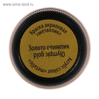 Краска акриловая Metallic 20 мл, ЗХК Decola, Золото олимпик, 4926971