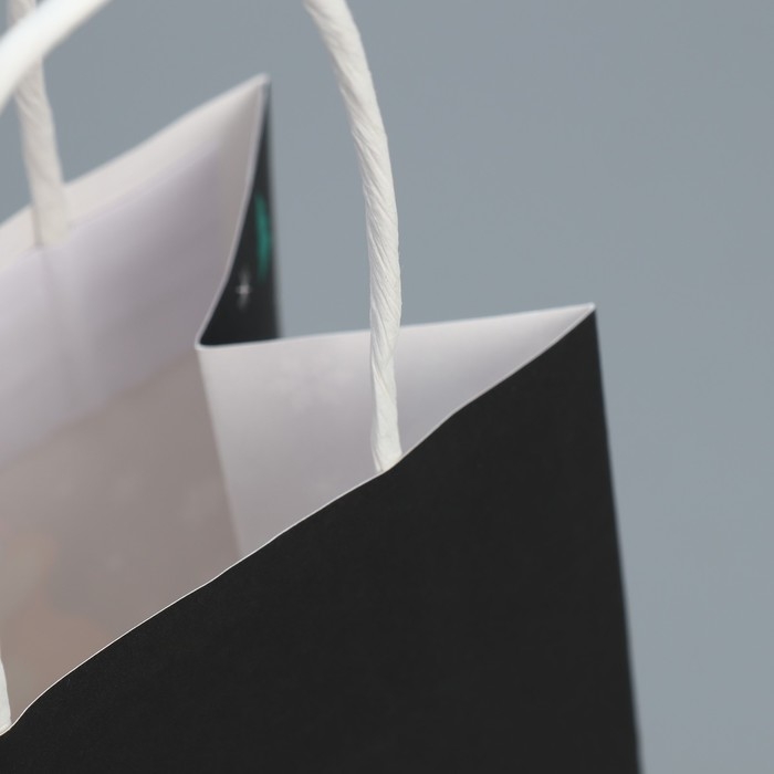 Пакет подарочный новогодний крафтовый «Ничего», 12 х 21 х 9 см, Новый год Пакет подарочный новогодний крафтовый «Ничего», 12 х 21 х 9 см, Новый год