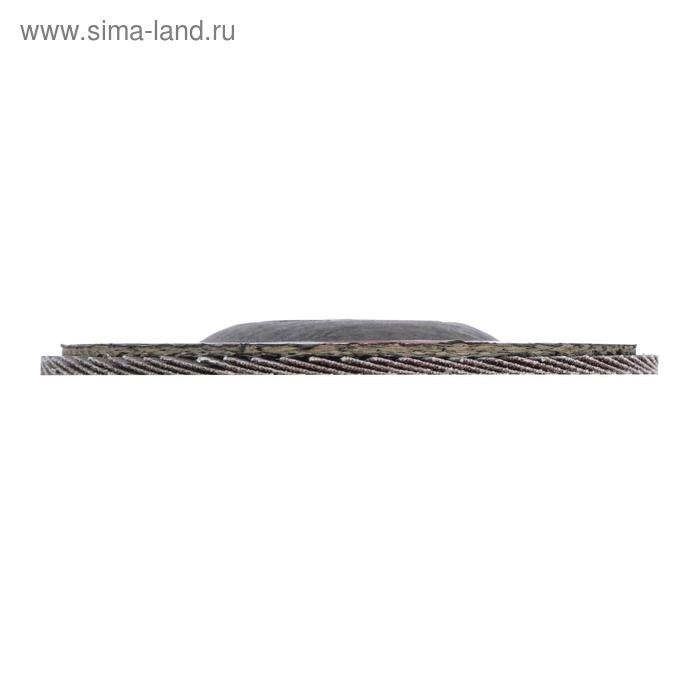 Круг лепестковый торцевой ЛОМ, 125 х 22 мм, Р120 Круг лепестковый торцевой ЛОМ, 125 х 22 мм, Р120
