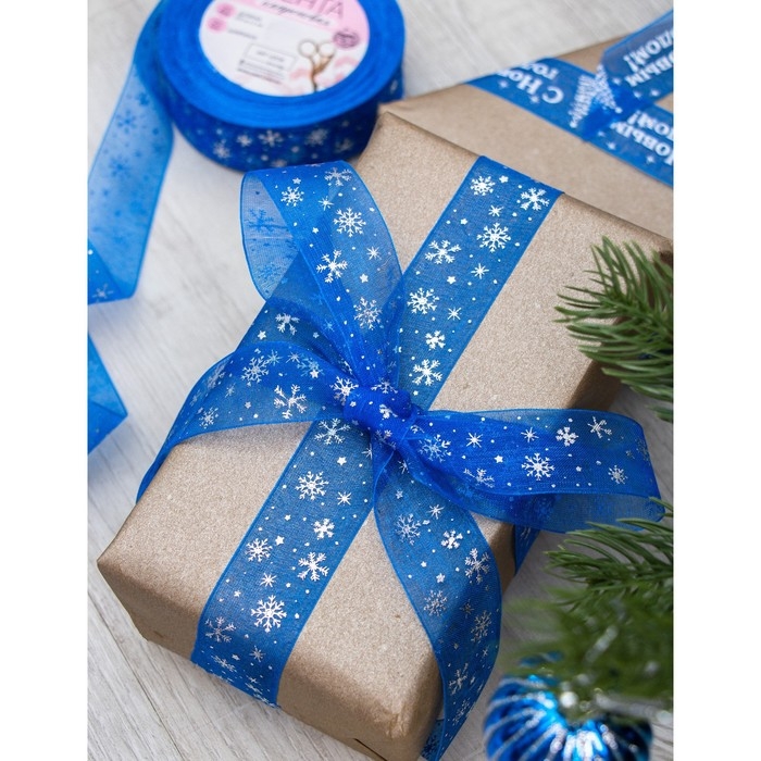 Новый год! Лента капроновая с тиснением «Снежинки», 25 мм × 23 ± 1 м, цвет синий/серебряный №040 Новый год! Лента капроновая с тиснением «Снежинки», 25 мм × 23 ± 1 м, цвет синий/серебряный №040