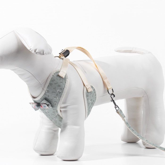 Комплект с мягкой шлейкой  Комплект с мягкой шлейкой "Веточки", размер L, поводок 120 х 1,5 см, ОГ 42-76 см, серый