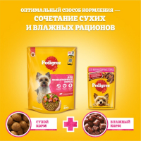 Сухой корм Pedigree для собак мини пород, говядина, 1,2 кг