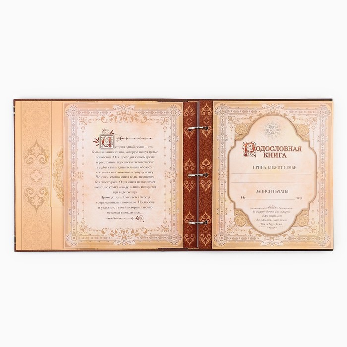 Родословная книга с рамкой под фото «Семейная летопись», 50 листов, 21,5 х 23,7 см. Родословная книга с рамкой под фото «Семейная летопись», 50 листов, 21,5 х 23,7 см.