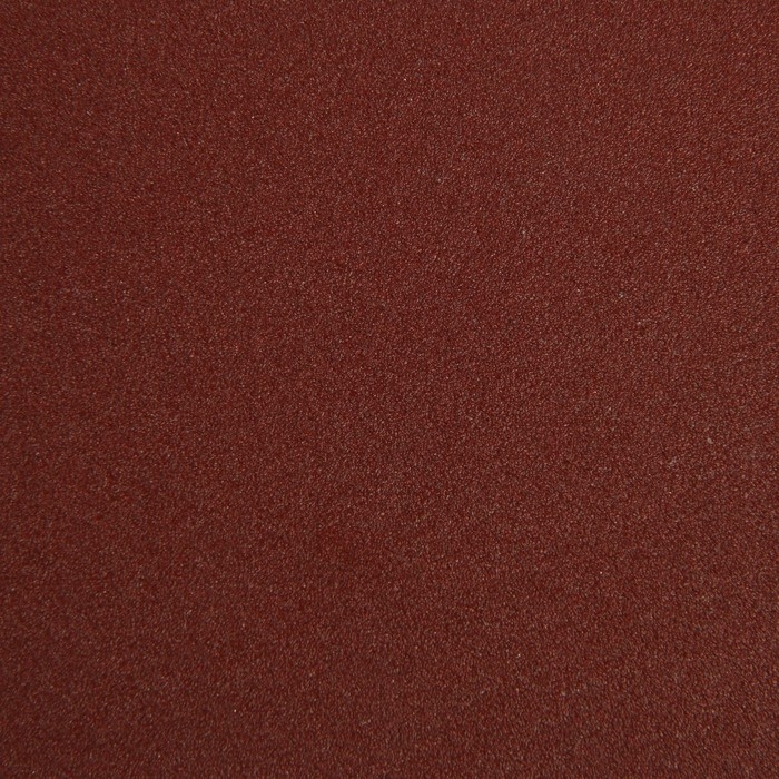 Круг абразивный шлифовальный под  Круг абразивный шлифовальный под "липучку" ТУНДРА, 125 мм, Р150, 10 шт.