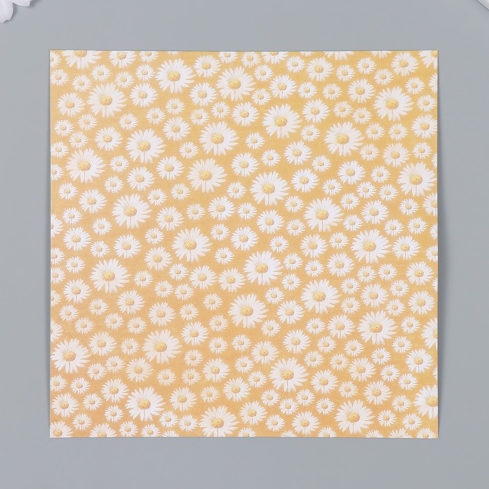 Набор бумаги для скрапбукинга 12 листов 12 дизайнов Набор бумаги для скрапбукинга 12 листов 12 дизайнов "Красота весны" 160 гр 15,2х15,2 см