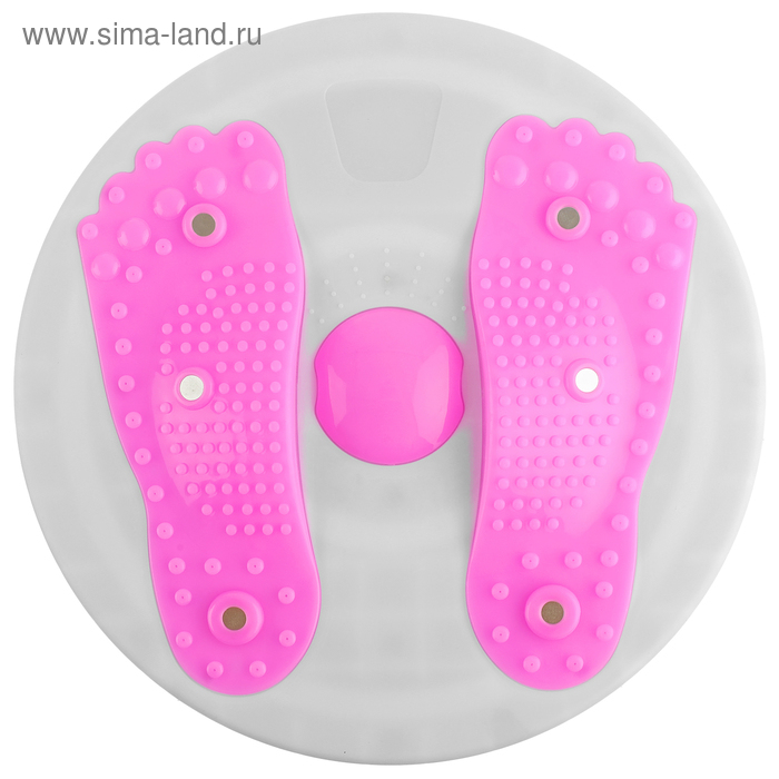 Диск здоровья, с магнитными вставками, d=27 см, цвета МИКС Диск здоровья, с магнитными вставками, d=27 см, цвета МИКС