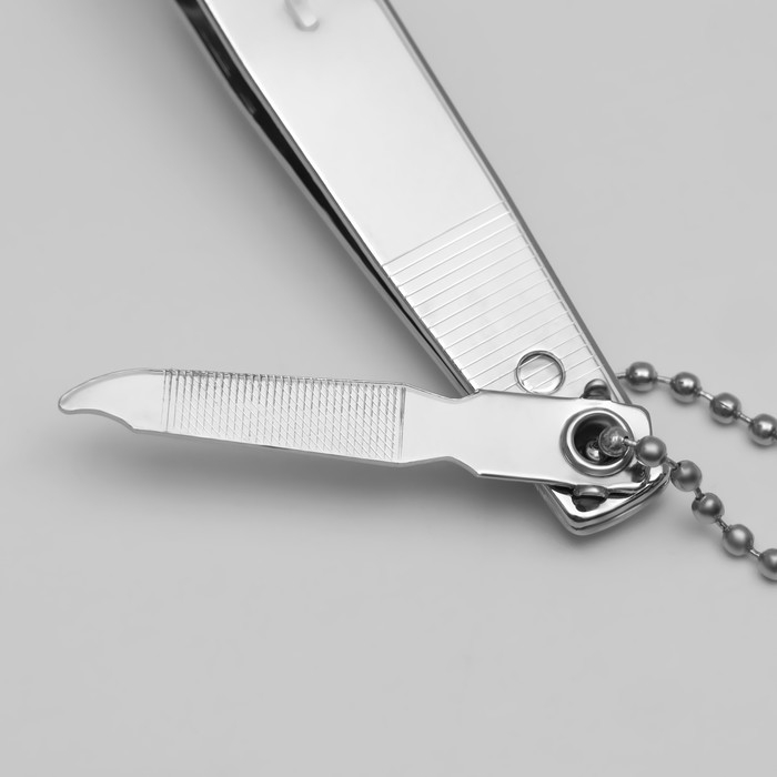 Кусачки-книпсер маникюрные ZINGER, с пилкой, 6 см, на блистере, цвет серебристый, SLN 603-FC Кусачки-книпсер маникюрные ZINGER, с пилкой, 6 см, на блистере, цвет серебристый, SLN 603-FC