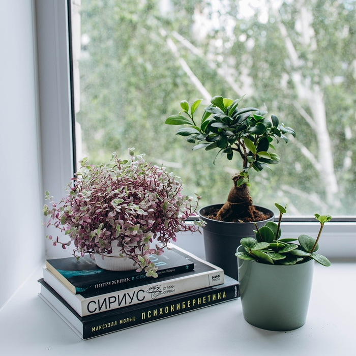 Горшок для цветов, d = 12,5 см, 1 л, пластик, зелёный шалфей Горшок для цветов, d = 12,5 см, 1 л, пластик, зелёный шалфей