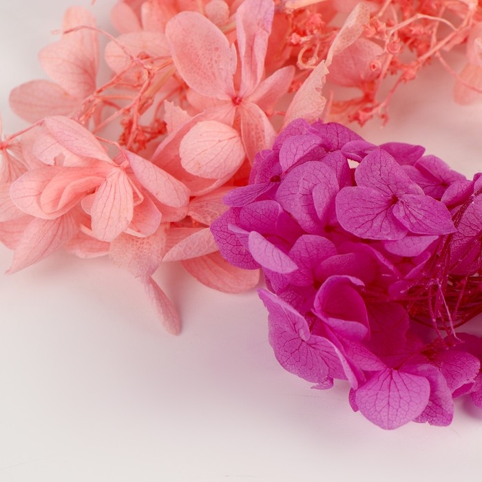 Набор сухоцветов «Гортензия» Набор сухоцветов «Гортензия»