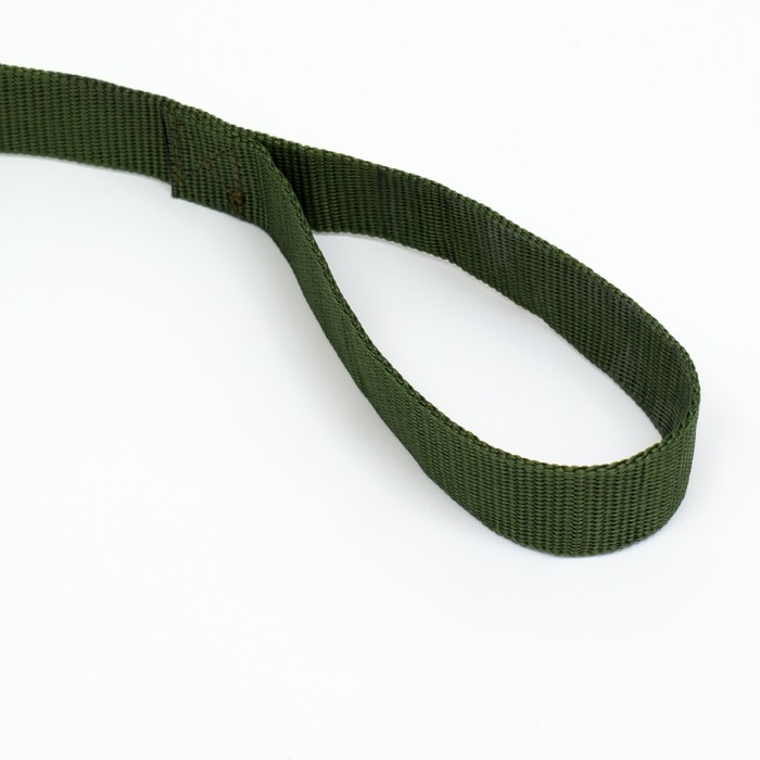 Поводок 5 м х 3 см, зелёный Поводок 5 м х 3 см, зелёный