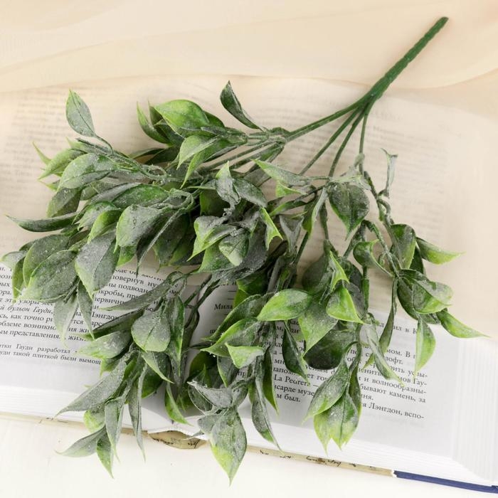 Букет Букет "Травка широкие листья" 30 см